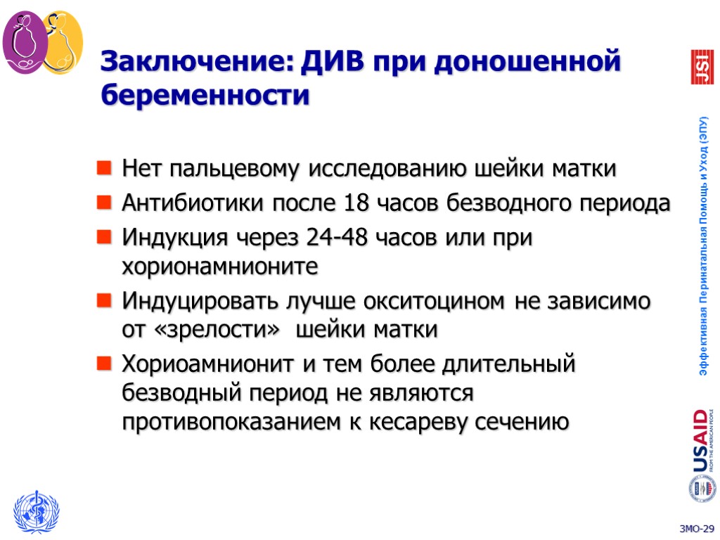 Заключение: ДИВ при доношенной беременности Нет пальцевому исследованию шейки матки Антибиотики после 18 часов